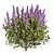 Premium Lupinus Albifrons Bush Model 3D model small image 3