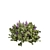 Premium Lupinus Albifrons Bush Model 3D model small image 6