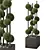 Versatile Outdoor Plant Set, Polys: 1928928 3D model small image 1