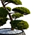 Yew Berry Niwaki in Planter 3D model small image 4