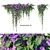 Dual Hanging Plants Set: 2m & 0.6m 3D model small image 1