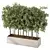 Evergreen Outdoor Plant No.60 3D model small image 2