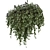 Metal Box Hanging Plants Set 3D model small image 4