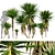 Low-Volume Yucca Palm Asset 3D model small image 1