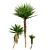 Low-Volume Yucca Palm Asset 3D model small image 3