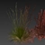 High-Quality Floral Grass Collection 3D model small image 6