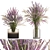 Field Flowers Bouquet Set 3D model small image 1