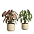 73-Piece Indoor Plant Ceramic Pot 3D model small image 3