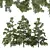 Chamaecyparis 3D Tree Models 3D model small image 1