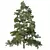 Chamaecyparis 3D Tree Models 3D model small image 2