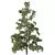 Chamaecyparis 3D Tree Models 3D model small image 4