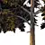 Chamaecyparis 3D Tree Models 3D model small image 5