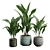 Glossy Cast Iron Plant Pack 3D model small image 1