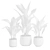 Glossy Cast Iron Plant Pack 3D model small image 3