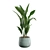 Glossy Cast Iron Plant Pack 3D model small image 4