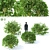 Flaviramea Dogwood 3D Models 3D model small image 1