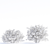Flaviramea Dogwood 3D Models 3D model small image 5