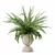 Modern Fern Plant Pot Beauty 3D model small image 1