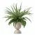 Modern Fern Plant Pot Beauty 3D model small image 2