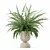 Modern Fern Plant Pot Beauty 3D model small image 3