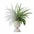 Modern Fern Plant Pot Beauty 3D model small image 5