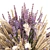 Field Flowers Bouquet Set 3D model small image 3