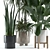 Custom VRay Indoor Plant Model 3D model small image 3
