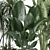 Custom VRay Indoor Plant Model 3D model small image 4