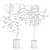 Impressive Ficus Audrey Banyan Tree 3D model small image 5
