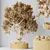 Ficus Retusa Bonsai Tree Model 3D model small image 5