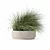 Eclectic Grass Collection 3D Model 3D model small image 1