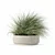 Eclectic Grass Collection 3D Model 3D model small image 3