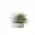 Eclectic Grass Collection 3D Model 3D model small image 4