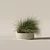 Eclectic Grass Collection 3D Model 3D model small image 6