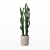 Sculptural Euphorbia Candelabrum 3D Model 3D model small image 3