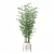 Bamboo Plants Collection 3D Model 3D model small image 3