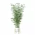 Bamboo Plants Collection 3D Model 3D model small image 4