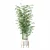 Bamboo Plants Collection 3D Model 3D model small image 5