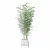 Bamboo Plants Collection 3D Model 3D model small image 6