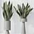 Modern Indoor Plant Set Collection 3D model small image 4