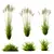 Variety of 3D Grass Models 3D model small image 1