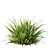 Variety of 3D Grass Models 3D model small image 3