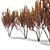 Kanzan Cherry Blossom Multi-Stem 3D model small image 12