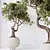 Ginseng Ficus Bonsai Tree Kit 3D model small image 2