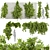 Creeping Ivy Collection Plant Vol562 3D model small image 1