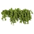 Creeping Ivy Collection Plant Vol562 3D model small image 5