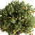 Citrus Bliss- Indoor Lemon Tree 3D model small image 2