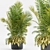 Ceramic Vase Indoor Plant 3D model small image 1
