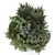 Lush Outdoor Plants Bush Collection 3D model small image 2