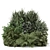 Lush Outdoor Plants Bush Collection 3D model small image 3